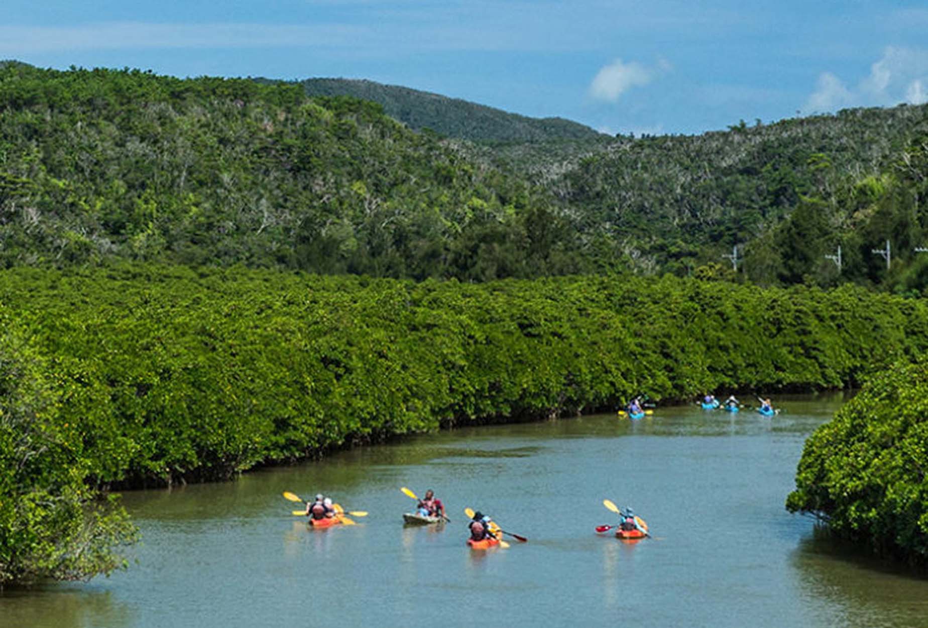 guided kayak tour